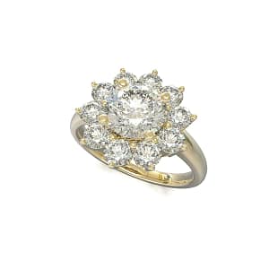 Cluster Halo With Round Cut