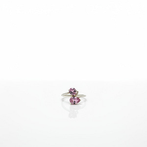 Silver Duet Rosé Ring